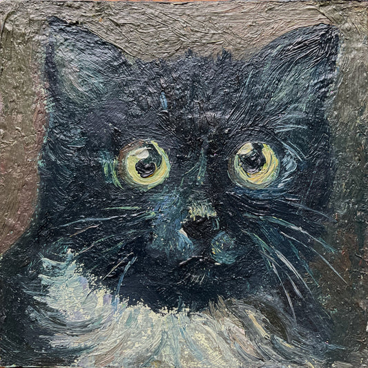 Mini Cat, Tuxedo Cat