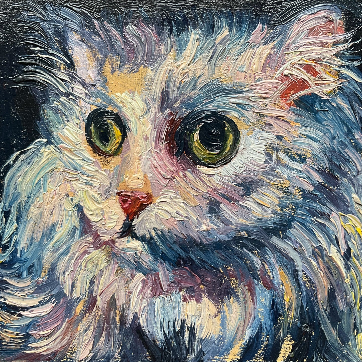 Mini Cat, Kitten Purple and Blue