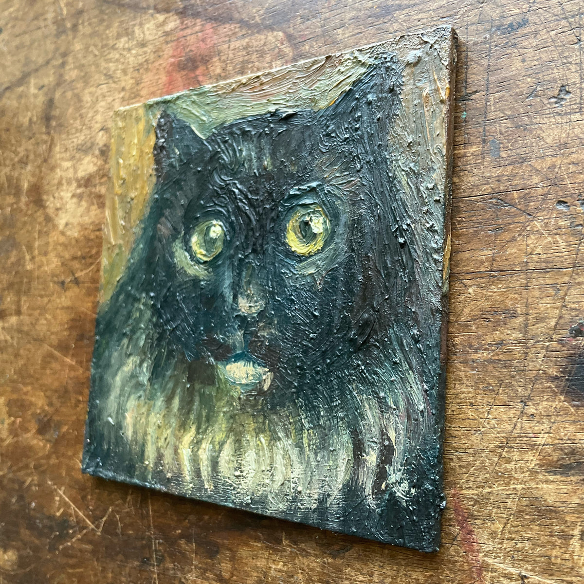 Tuxedo Cat in Yellow