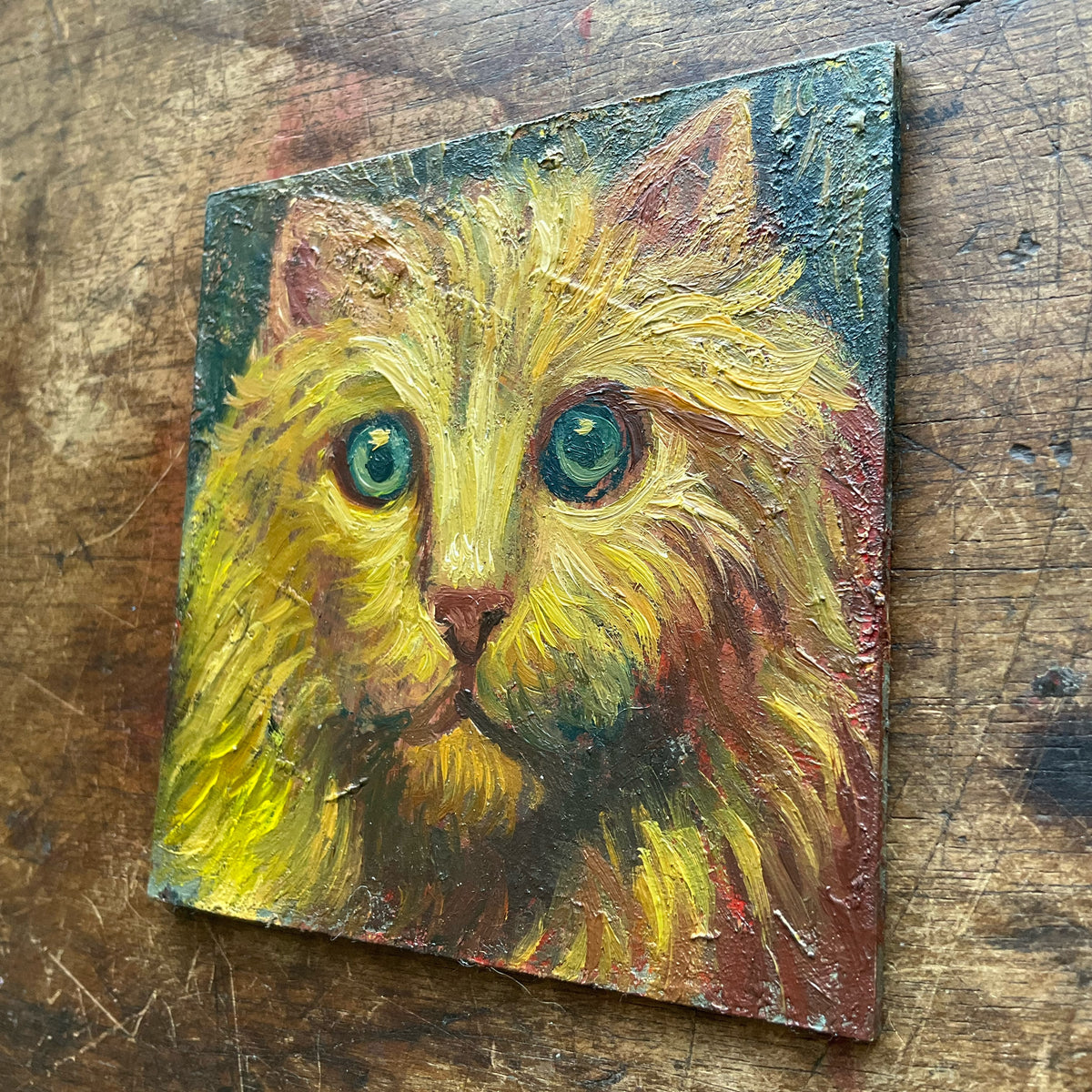 Yellow and Red Cat with Green Eyes