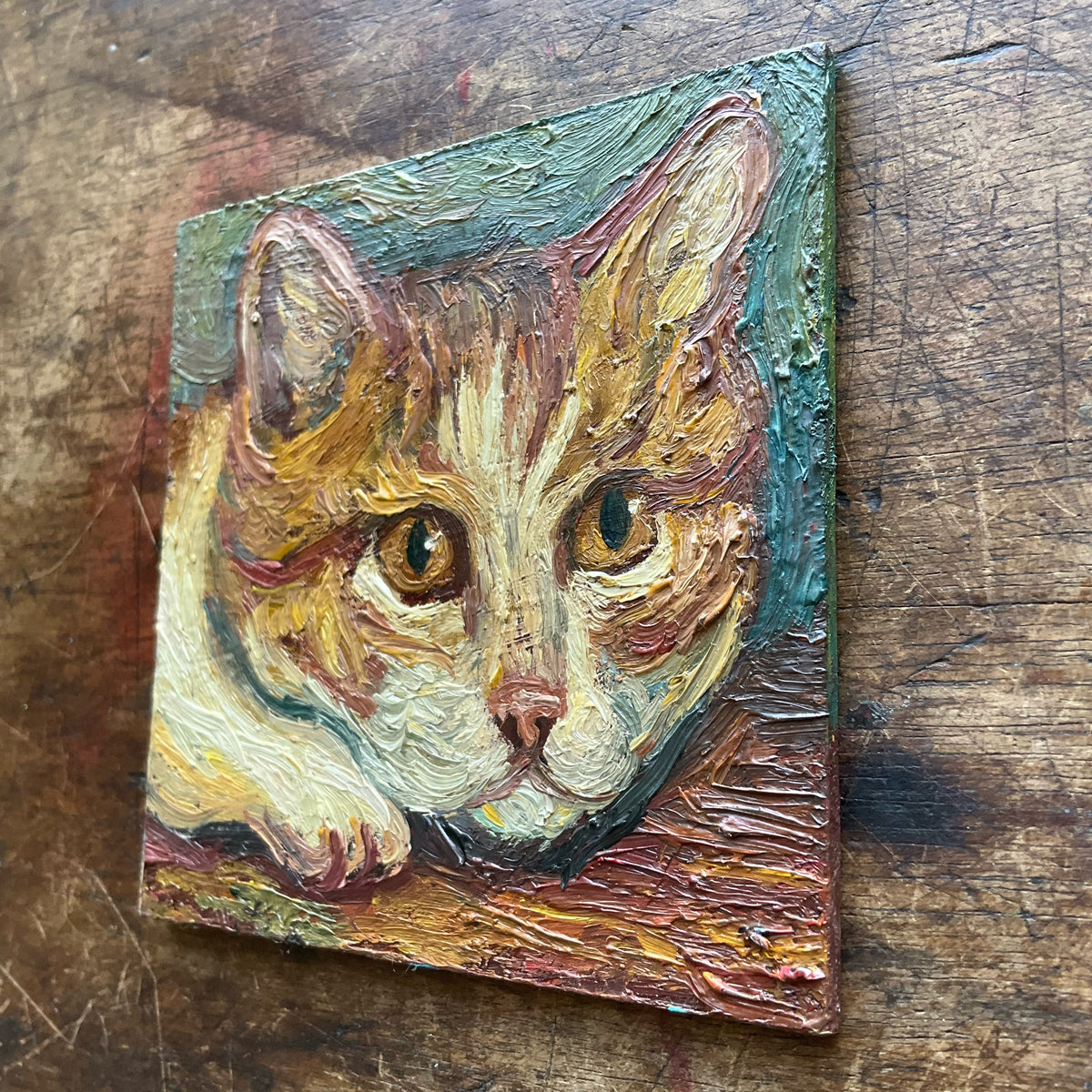 Kitten, Orange and White