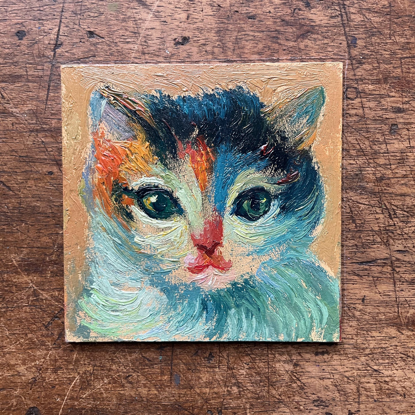 Mini Cat, Kitten Blue and Red