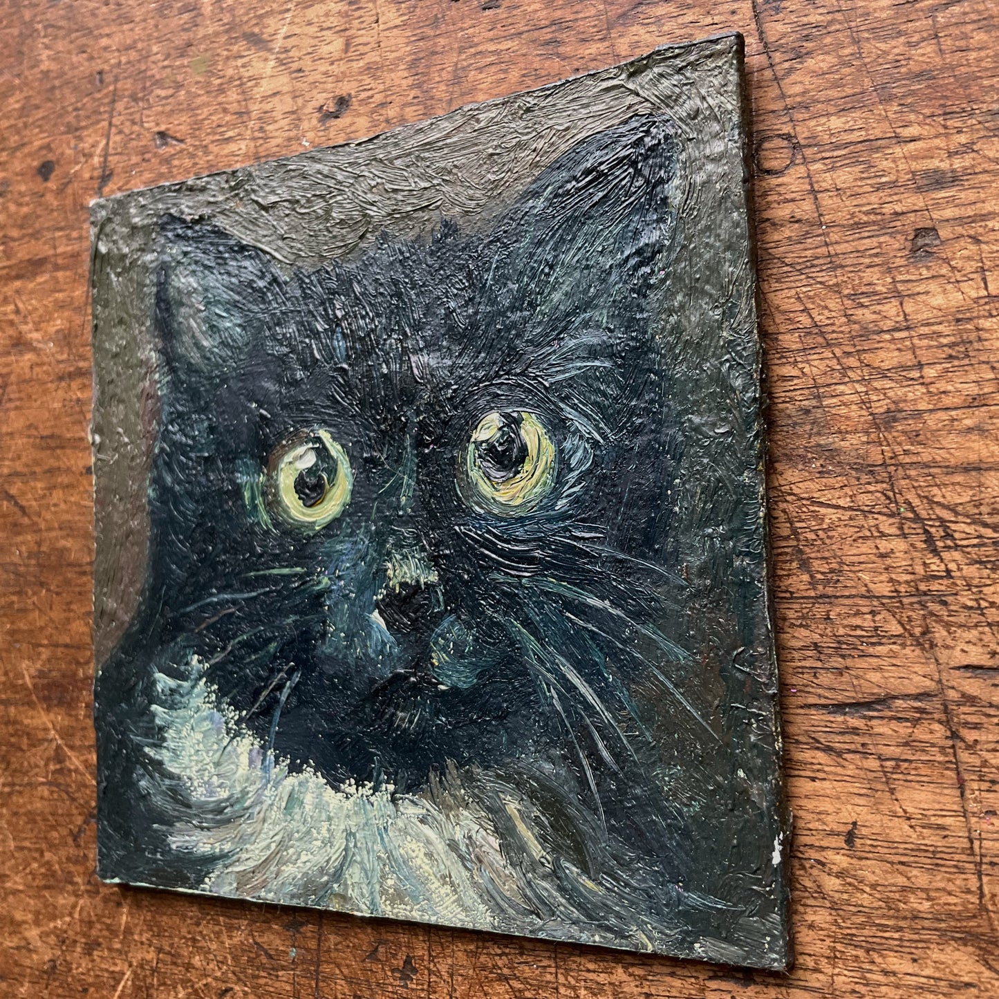 Mini Cat, Tuxedo Cat