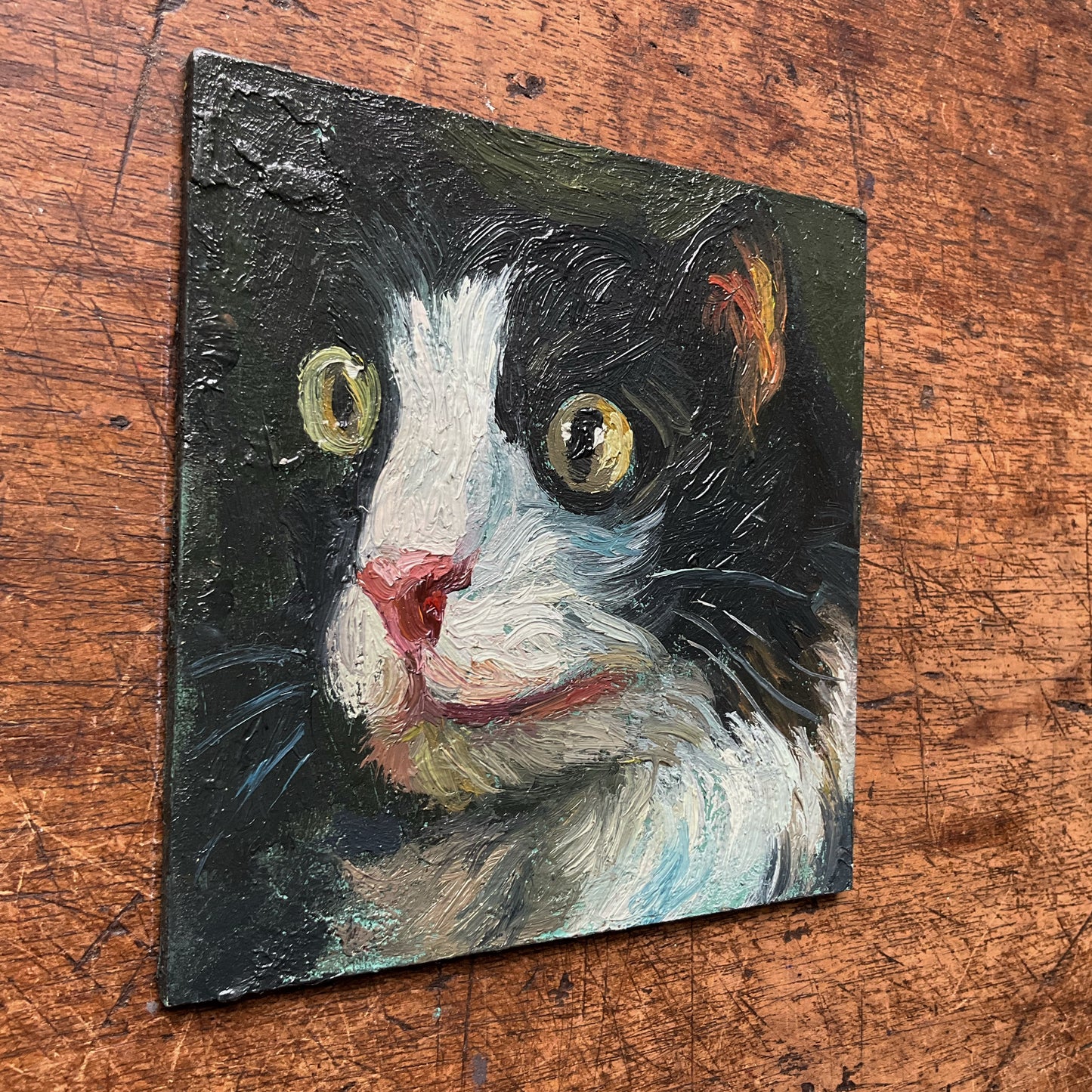 Mini Cat with Yellow Eyes