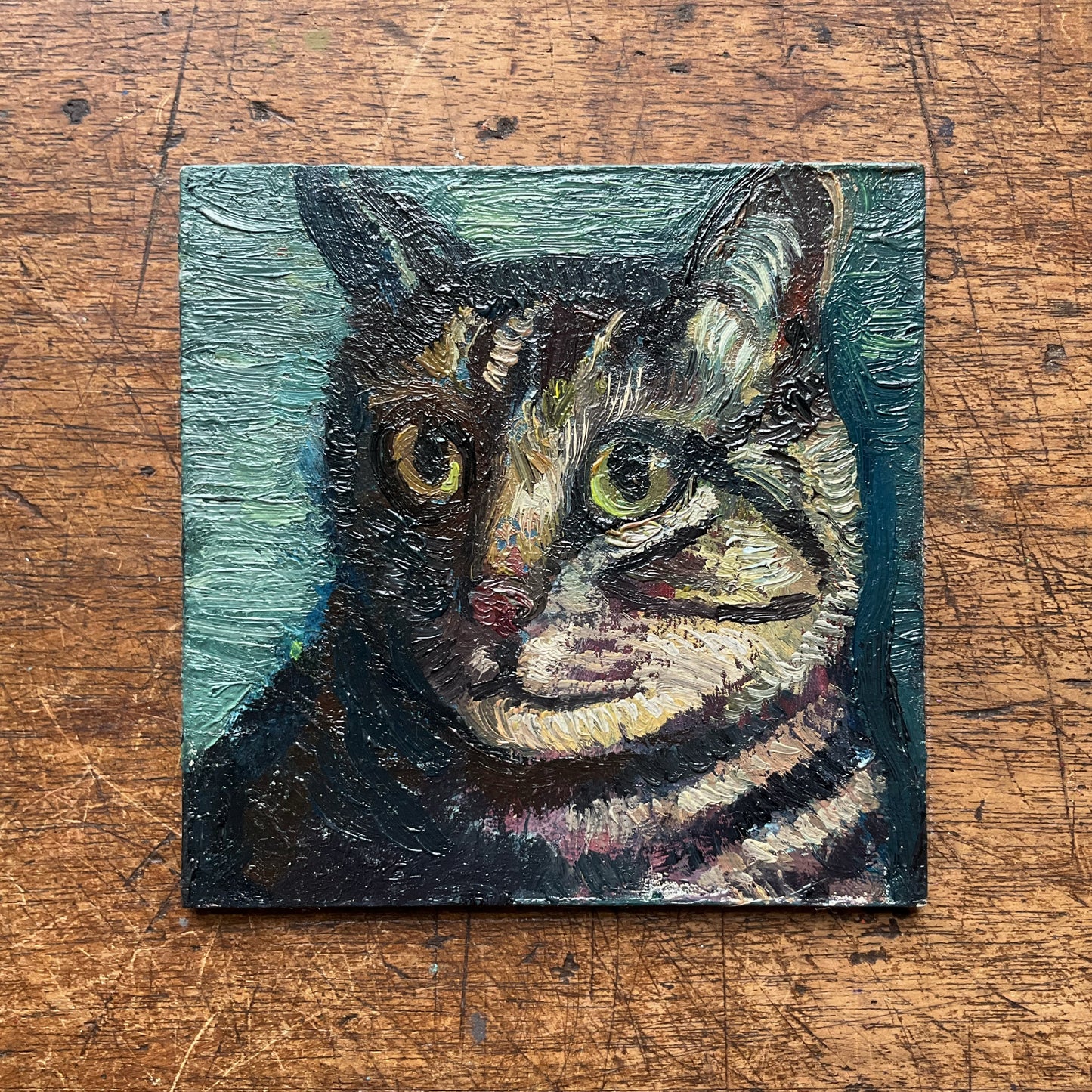 Mini Cat, Tabby