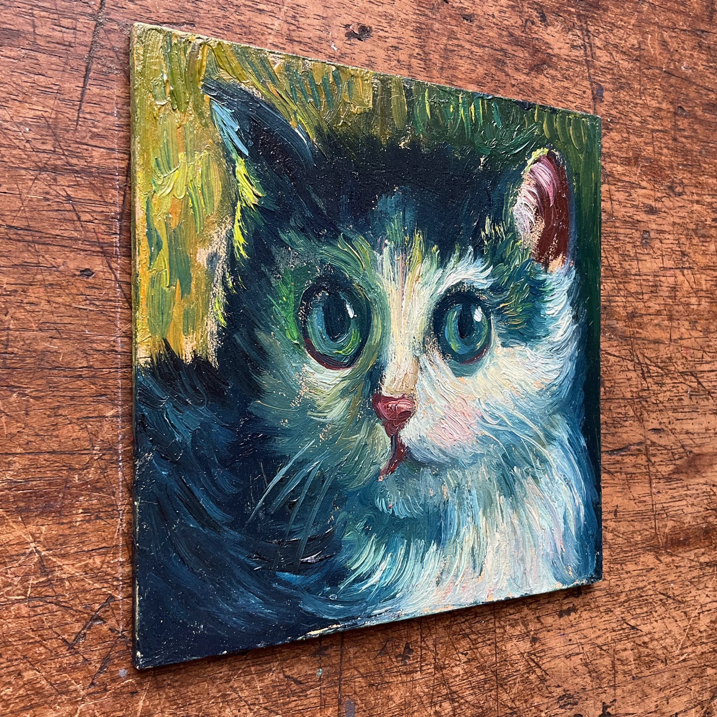 Mini Cat, Kitten