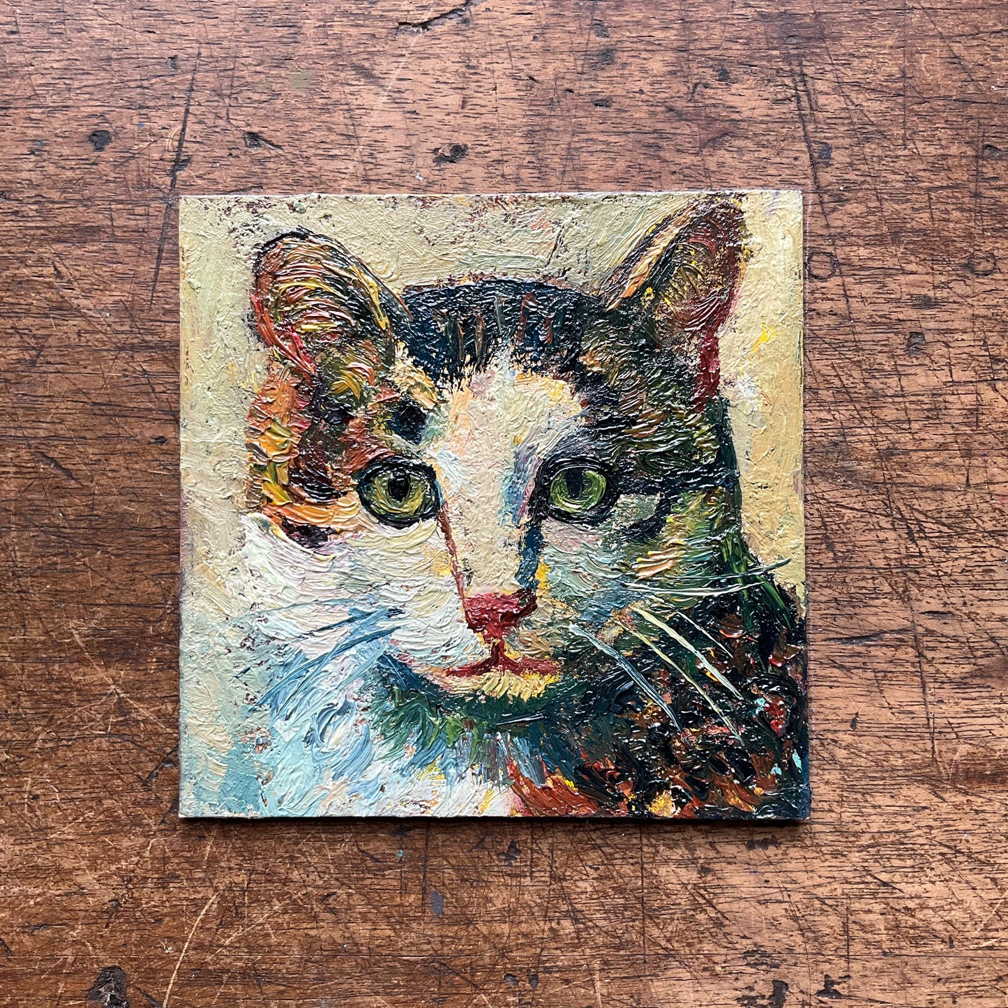 Mini Cat, Calico Kitten