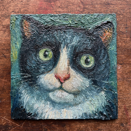 Black, Blue and White Cat in Green