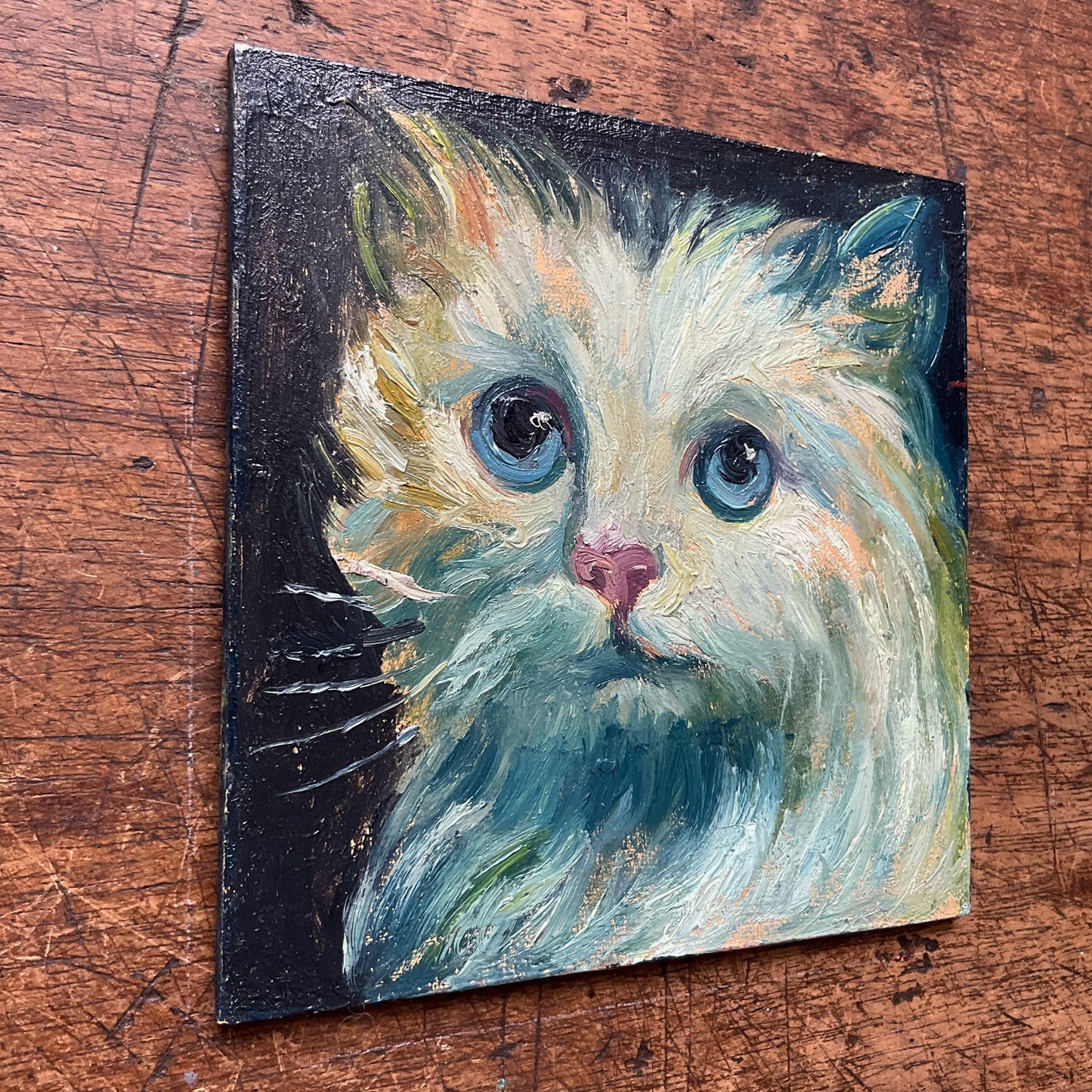 Mini Cat, Kitten White and Blue
