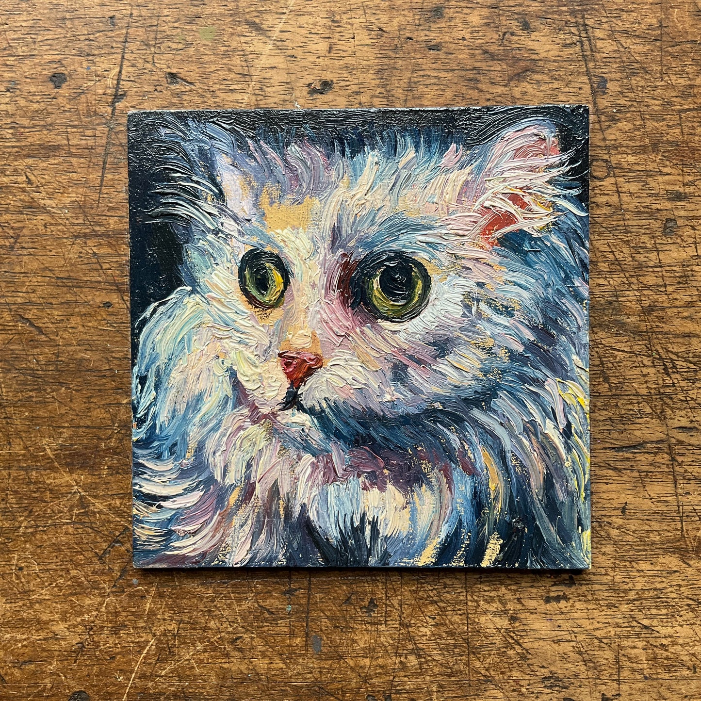 Mini Cat, Kitten Purple and Blue