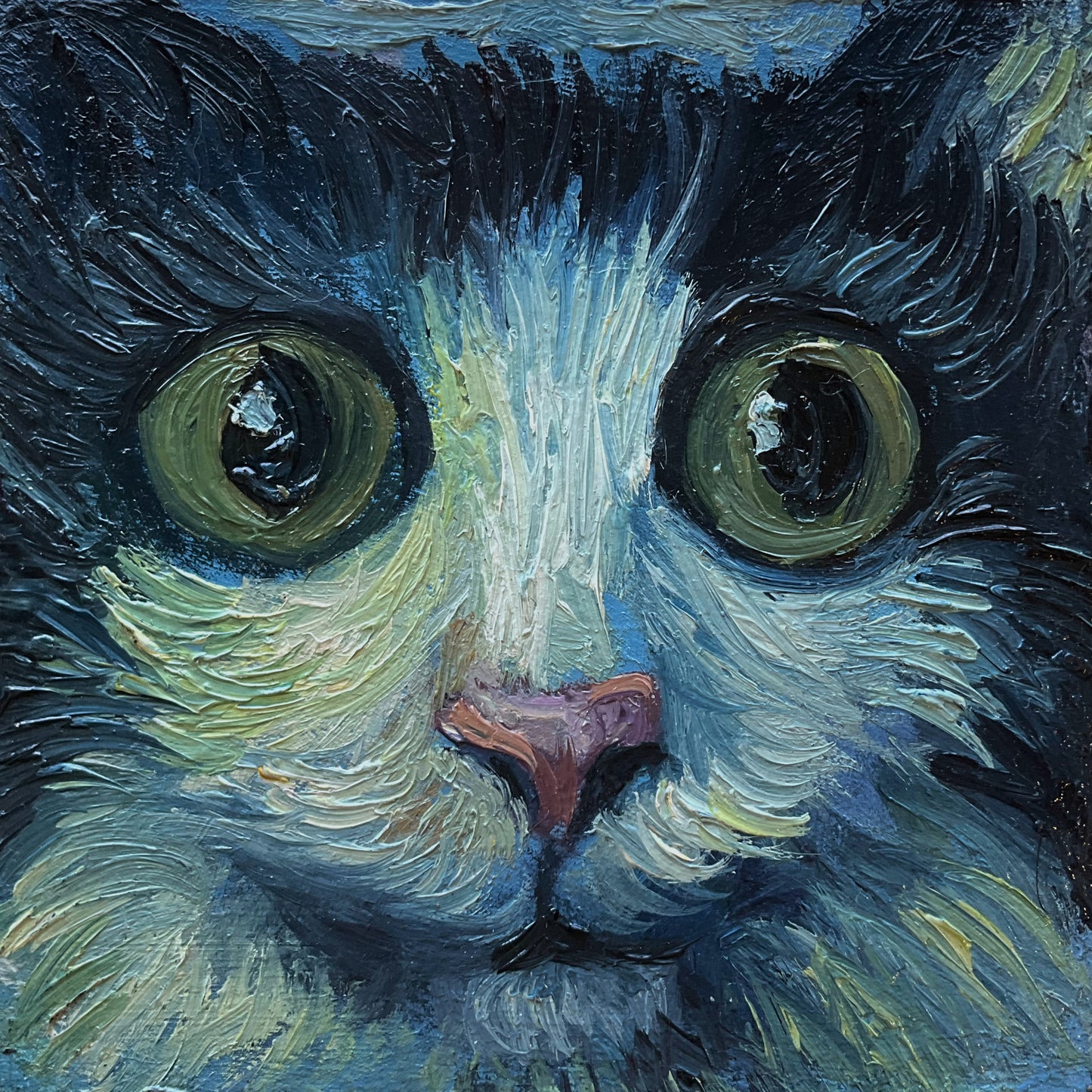 Mini Cat, Moody Blue