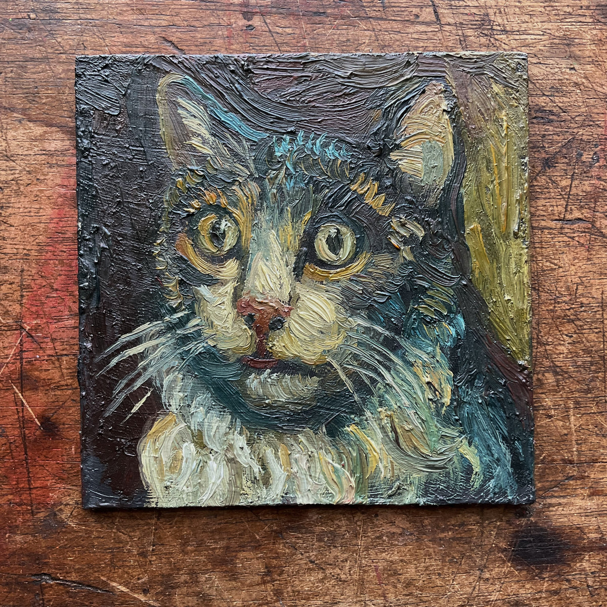 Cat with Long Whiskers