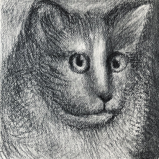 Mini Cat 001