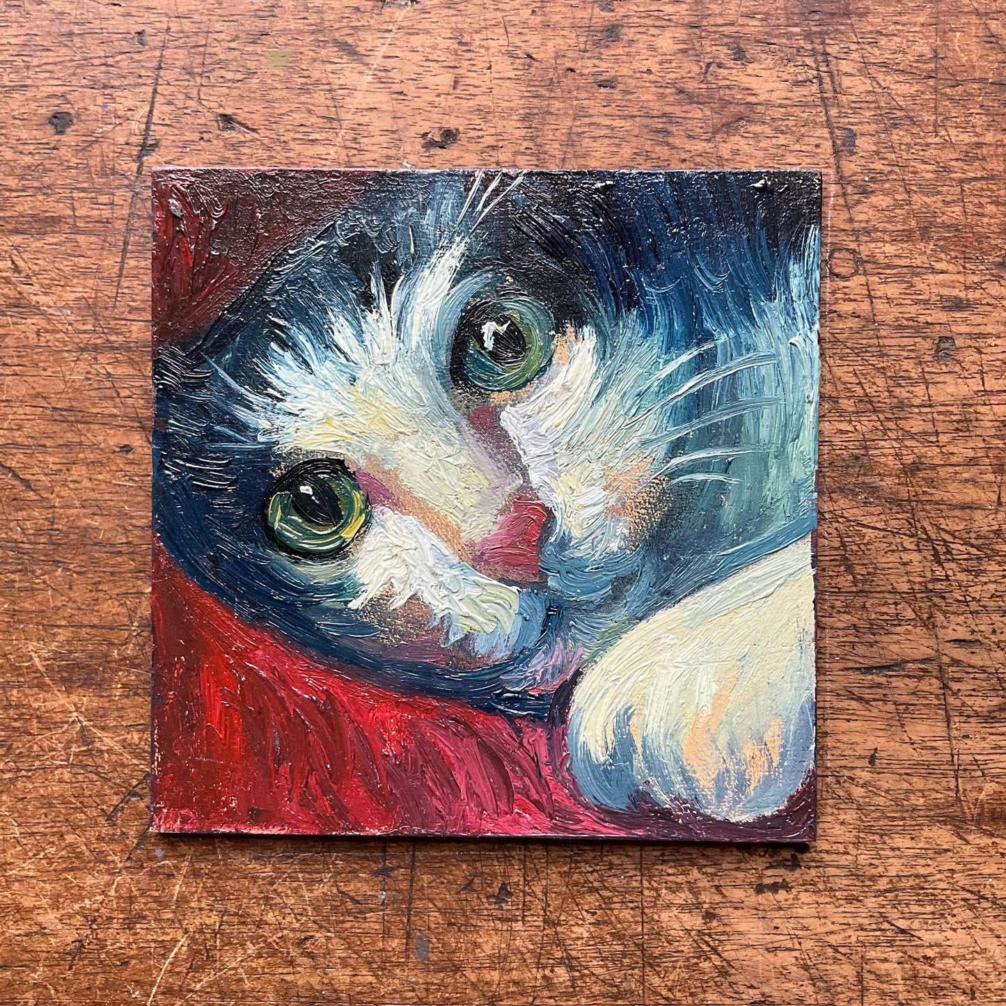 Mini Cat, Cat Playing