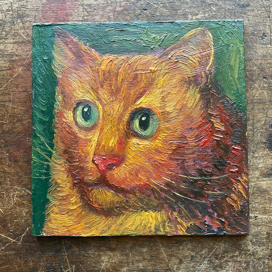 Orange Cat with Green Eyes in Green