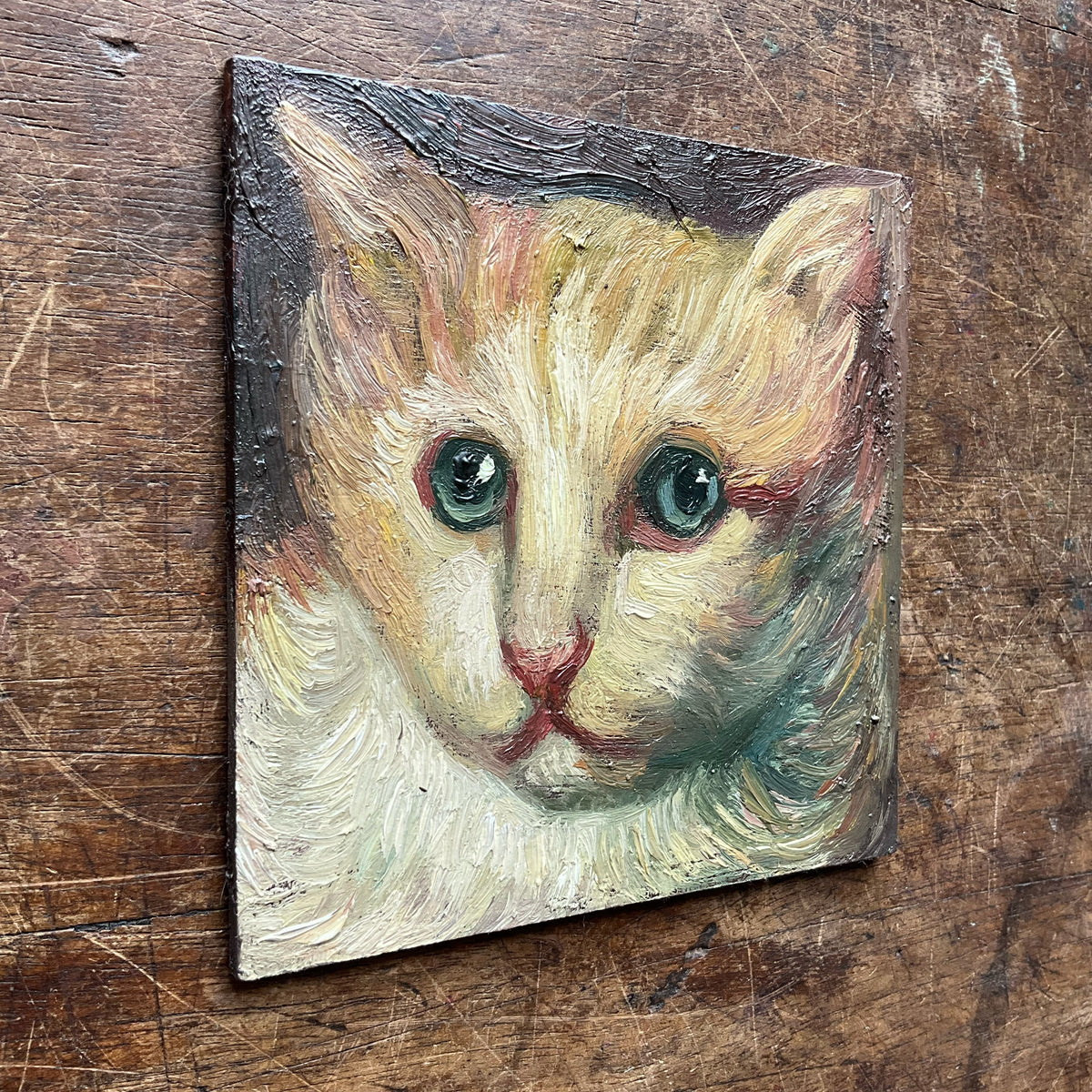 Yellow and White Cat
