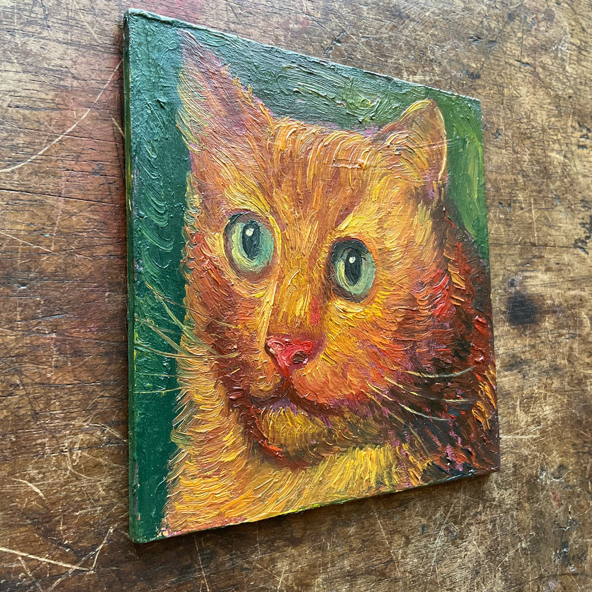 Orange Cat with Green Eyes in Green