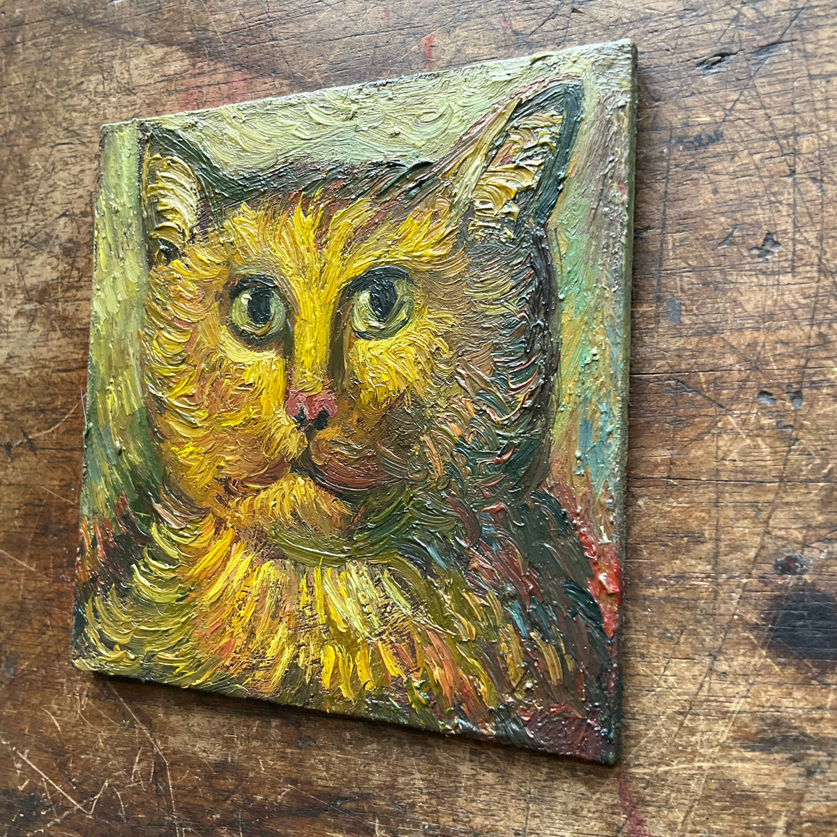 Serious Cat