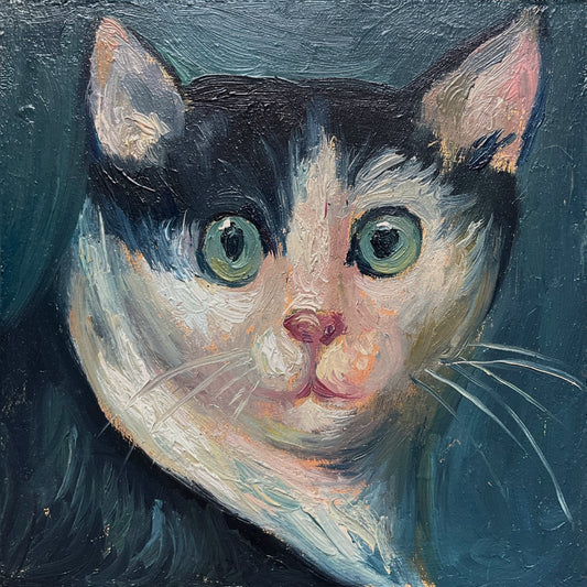 Mini Cat, Tuxedo Blue Eyes