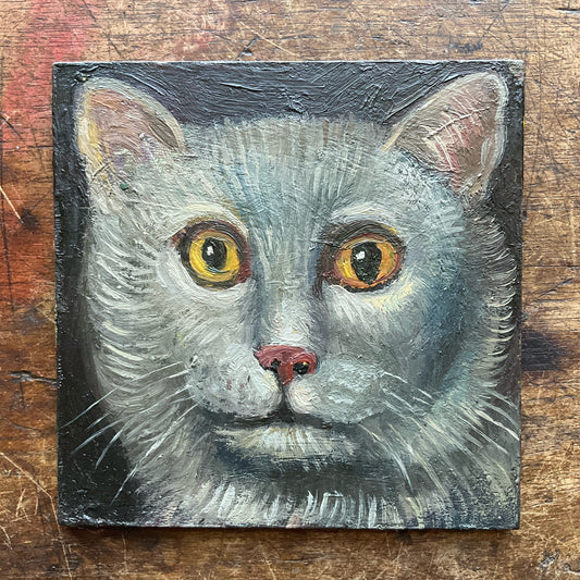 Silver Cat