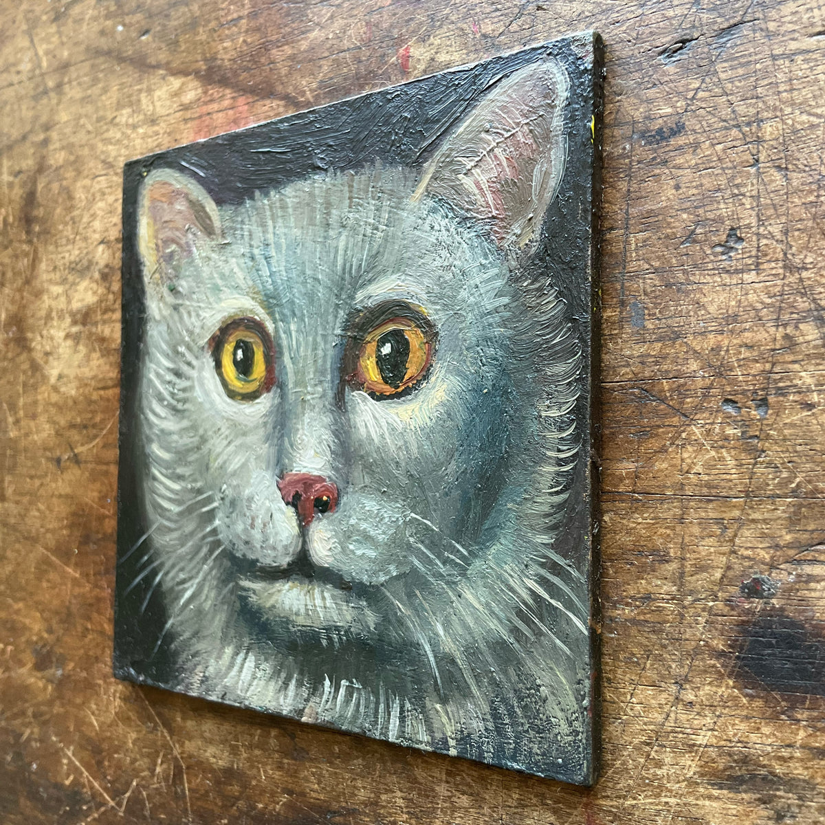 Silver Cat