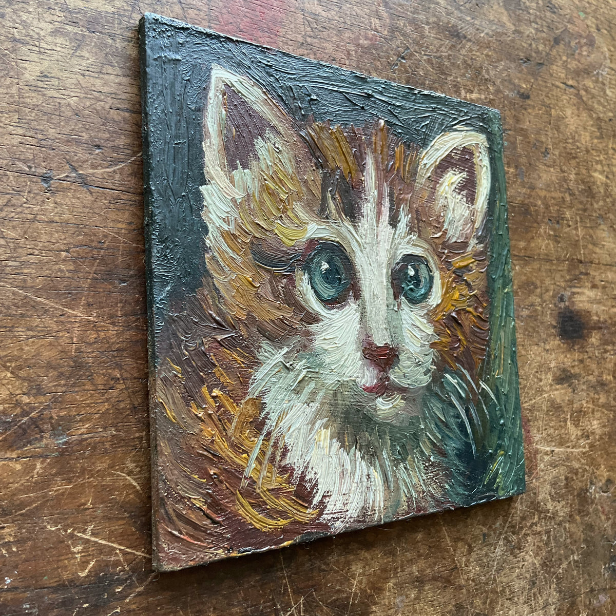 Orange Kitten