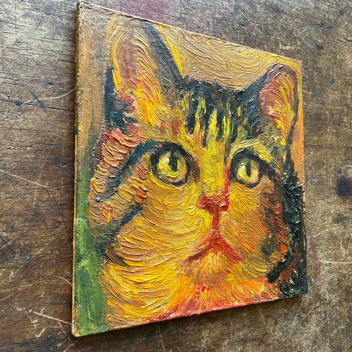 Tabby Ca, Yellow and Red