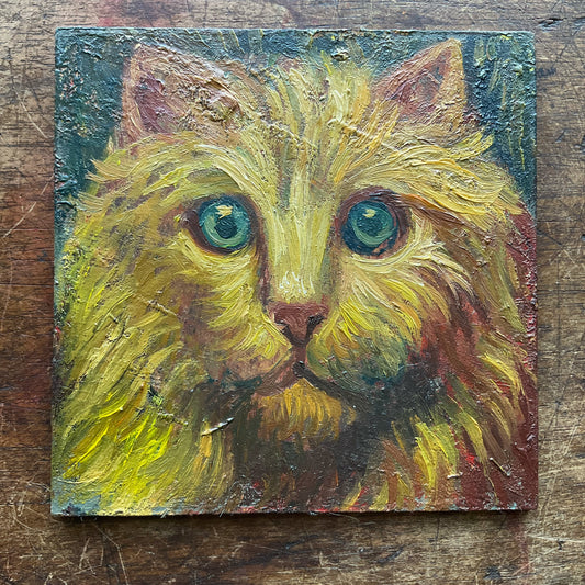 Yellow and Red Cat with Green Eyes