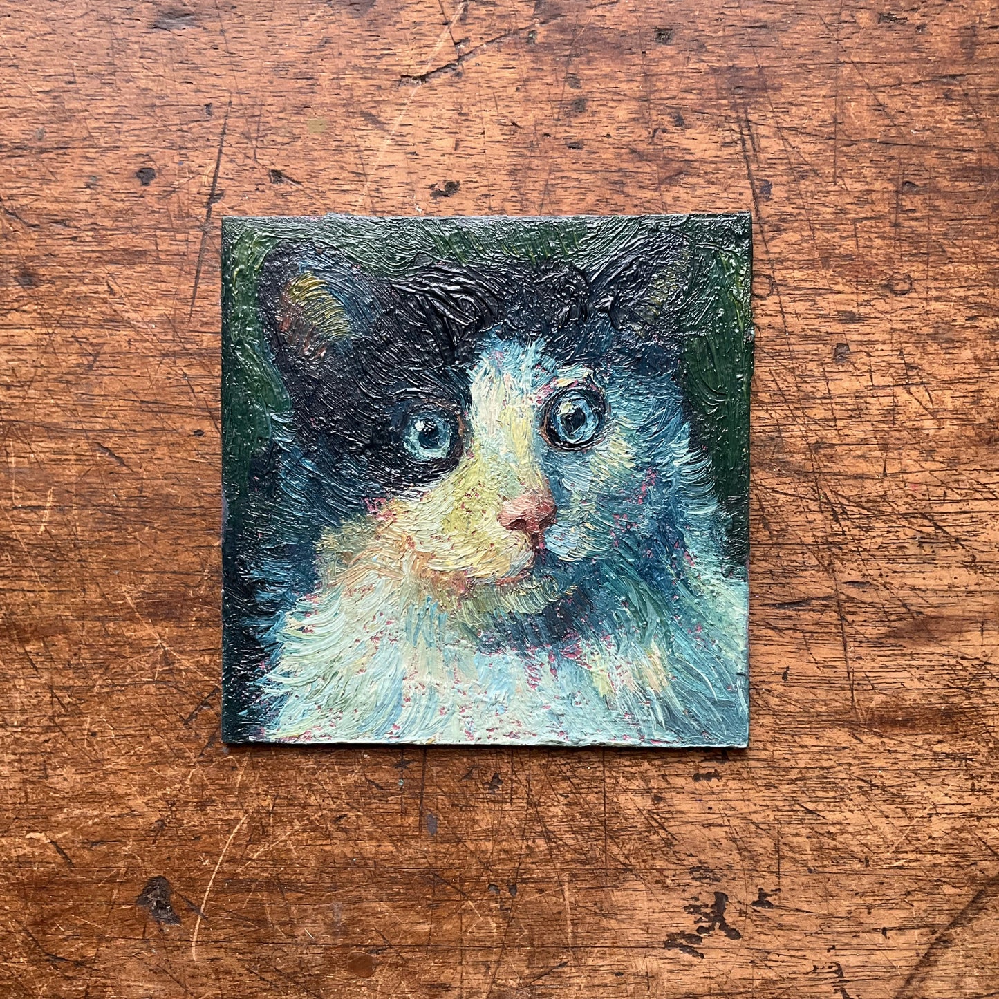 Mini Cat, Blue White and Black