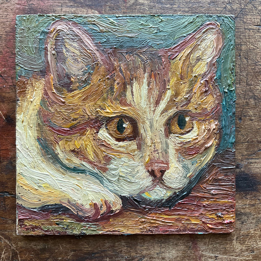 Kitten, Orange and White