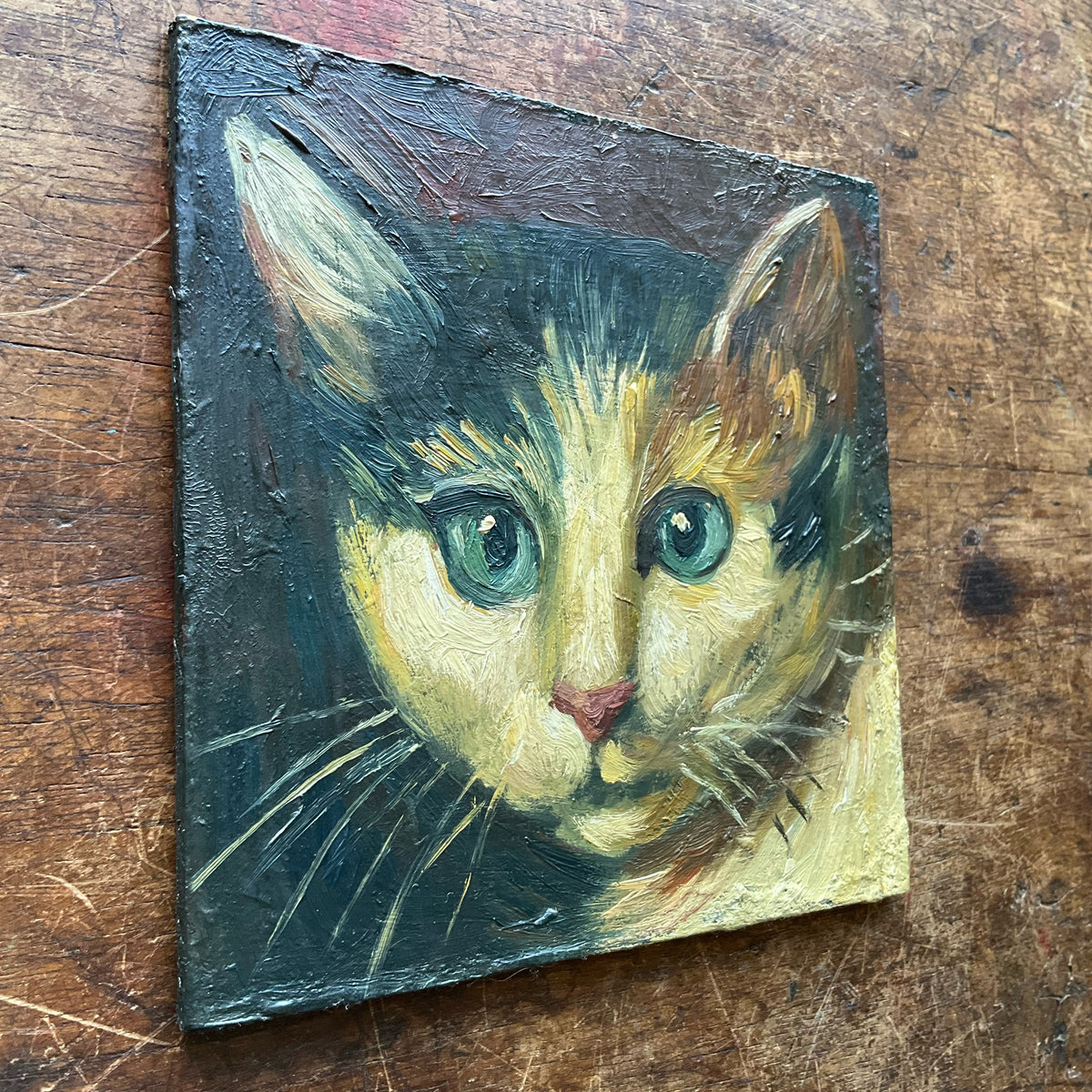 Calico Cat