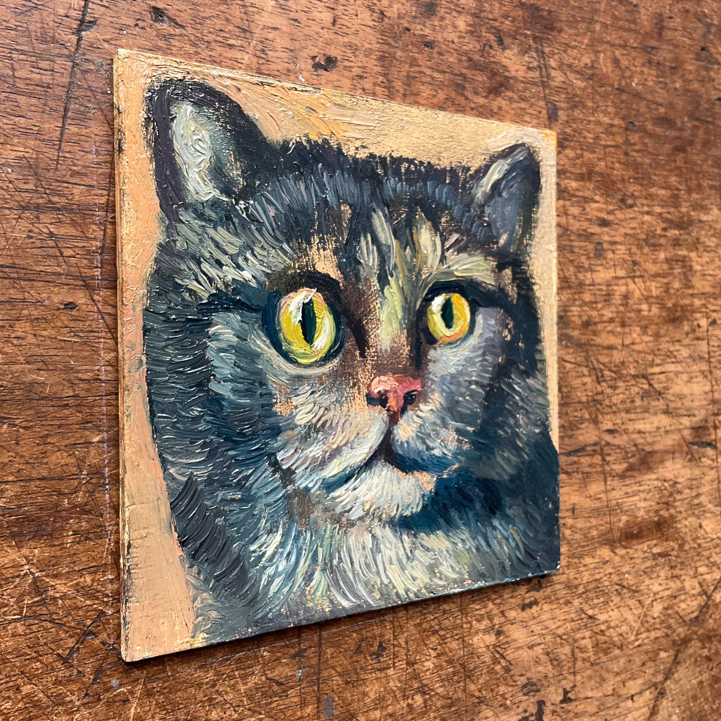 Mini Cat, Blue Tabby