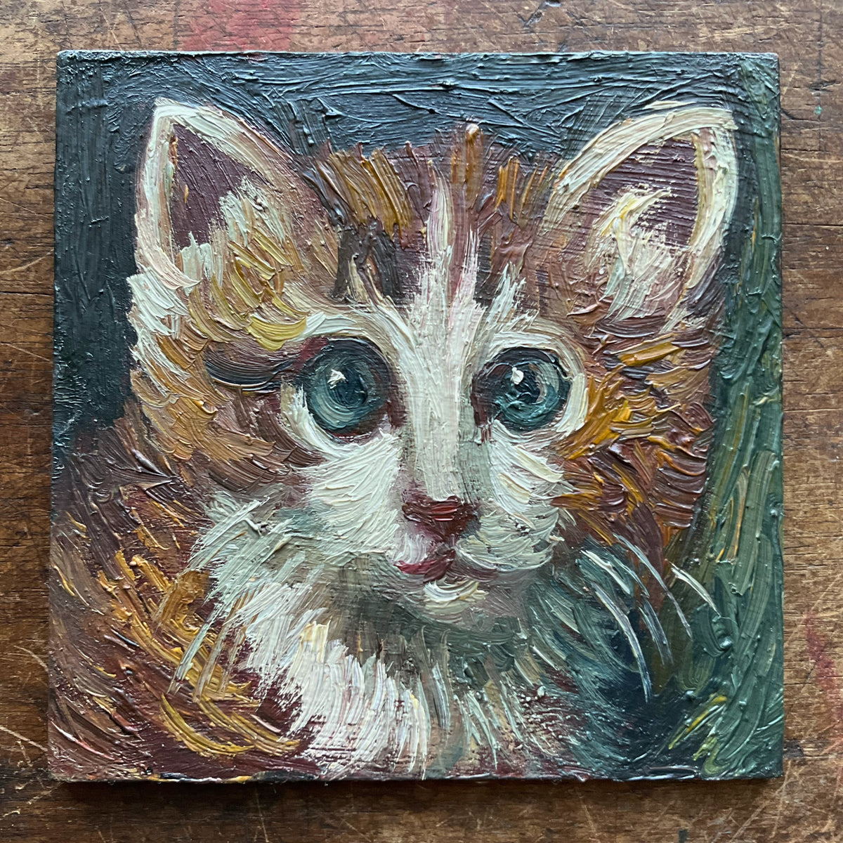 Orange Kitten