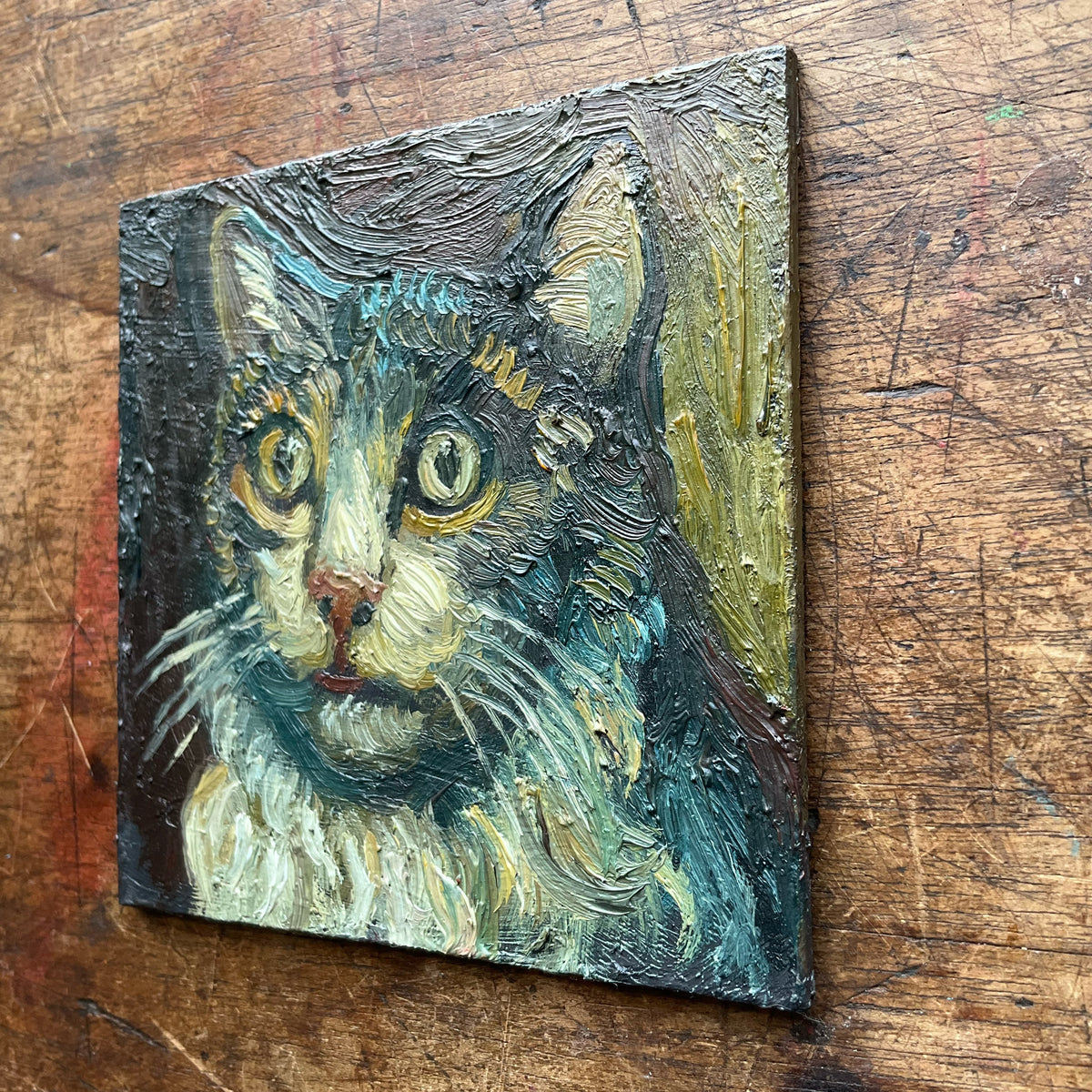 Cat with Long Whiskers