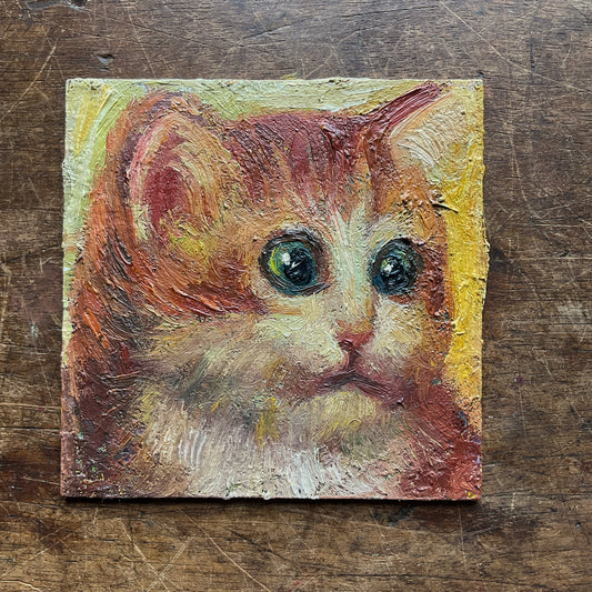 Kitten