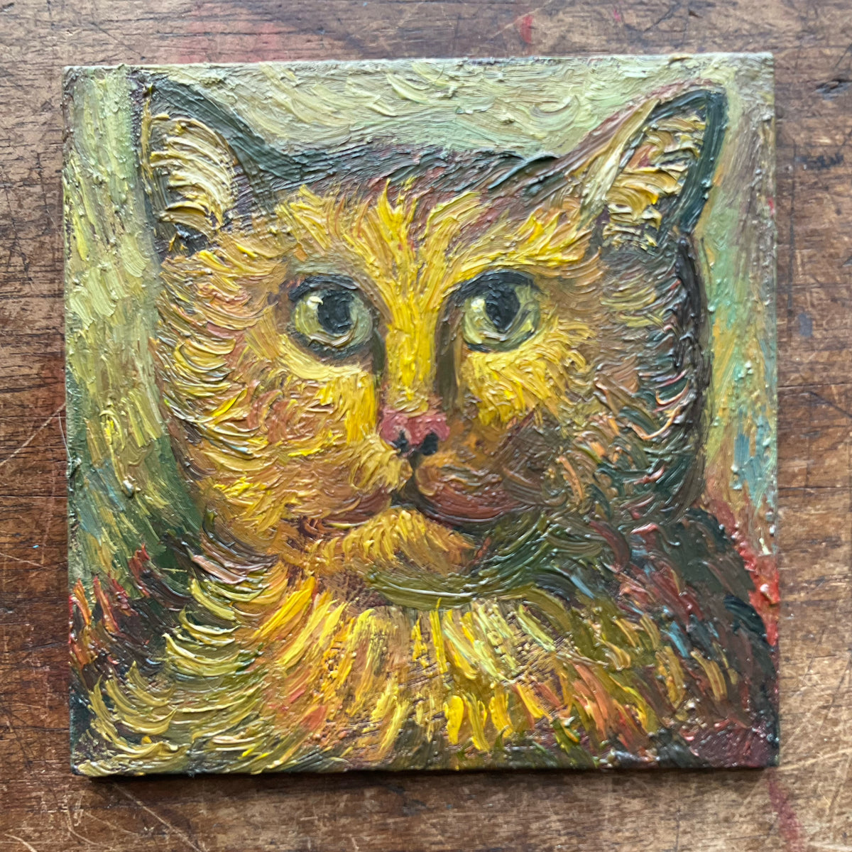 Serious Cat