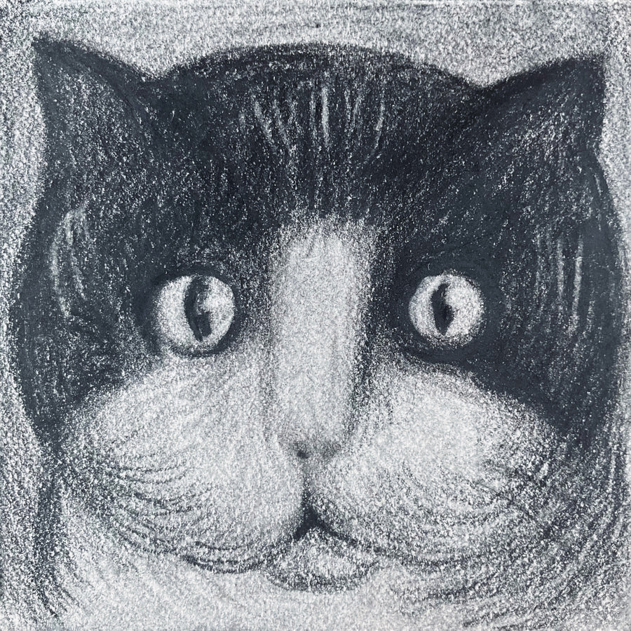 Mini Cat 007