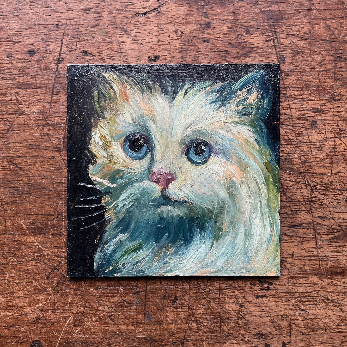 Mini Cat, Kitten White and Blue