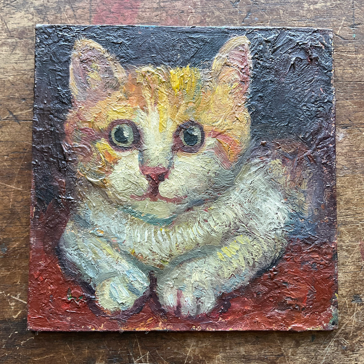 Kitten in Red Bed