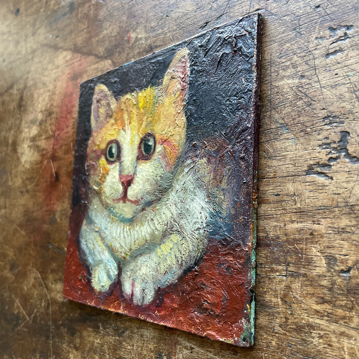Kitten in Red Bed
