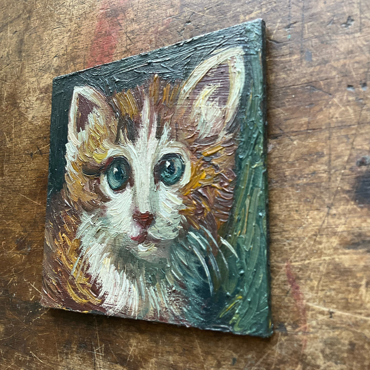 Orange Kitten