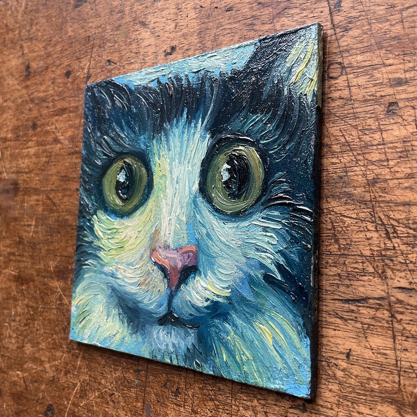Mini Cat, Moody Blue