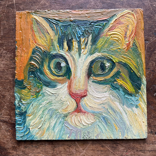 Calico Cat in Orange
