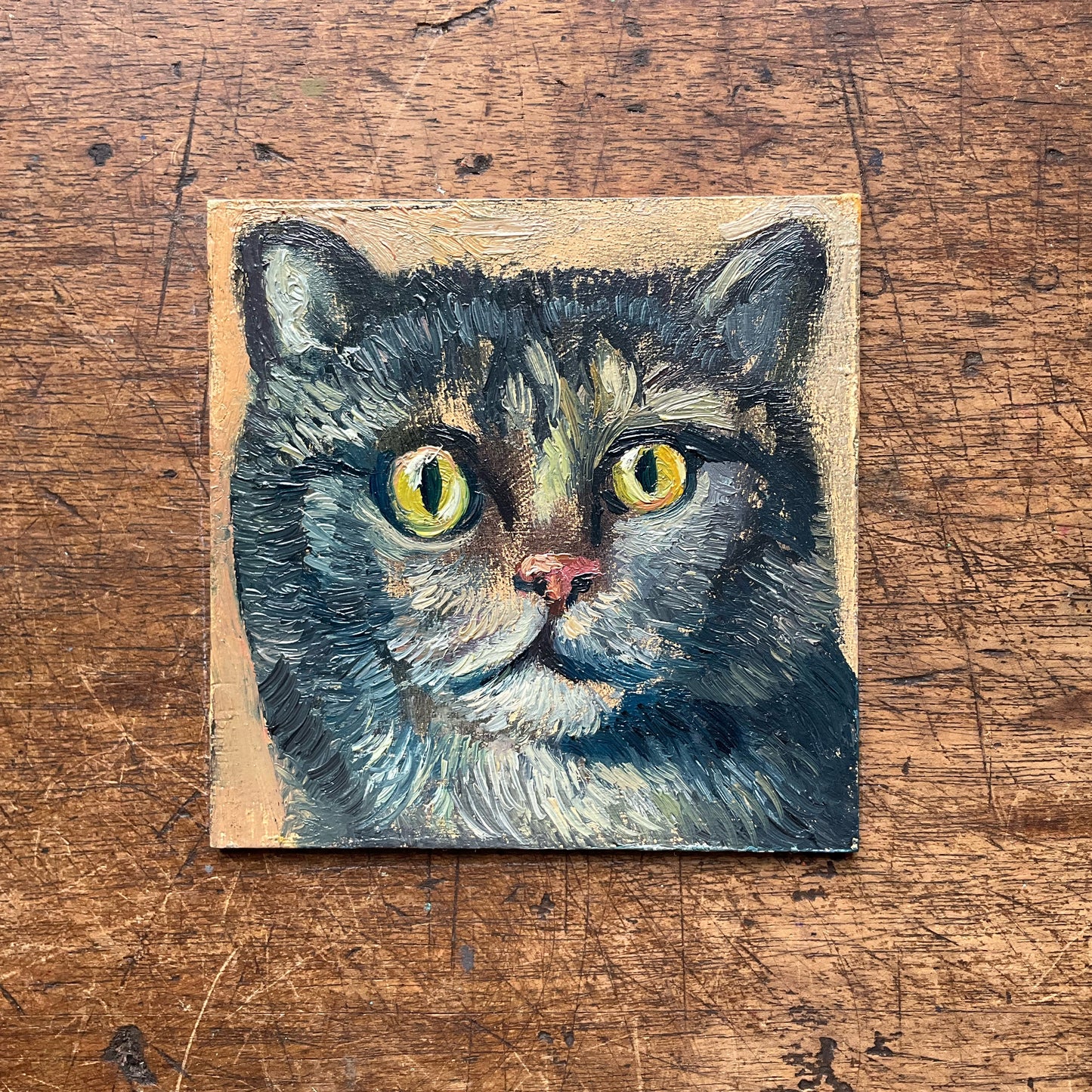 Mini Cat, Blue Tabby
