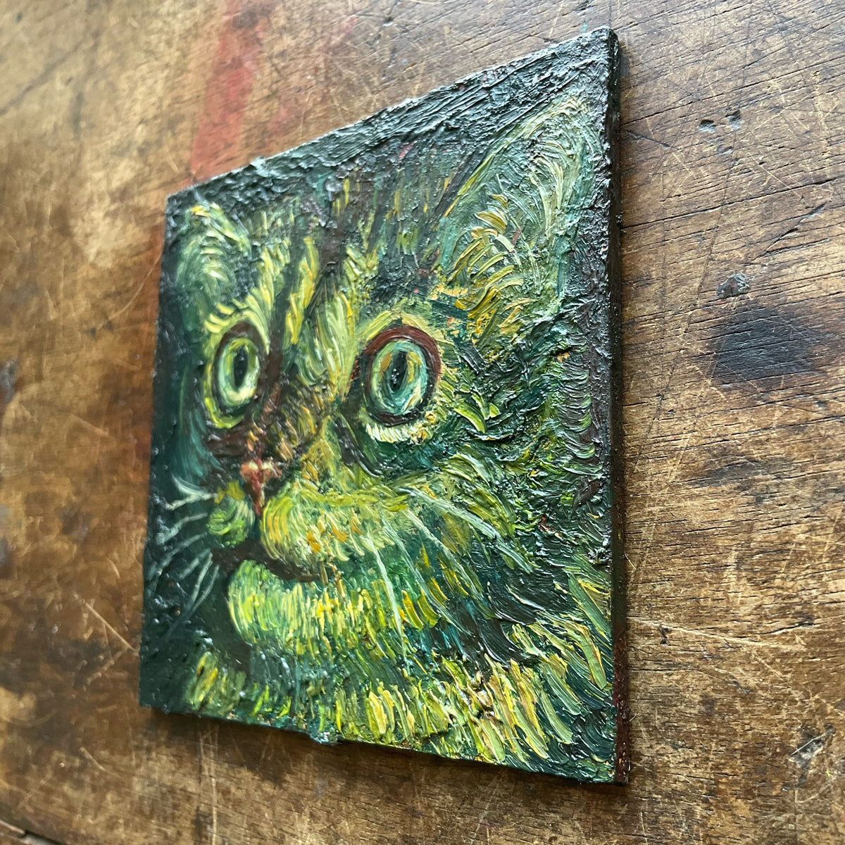 Cat, Black and Green