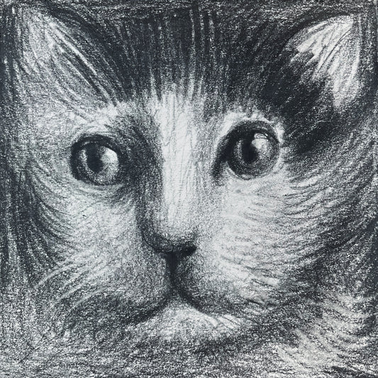 Mini Cat 004
