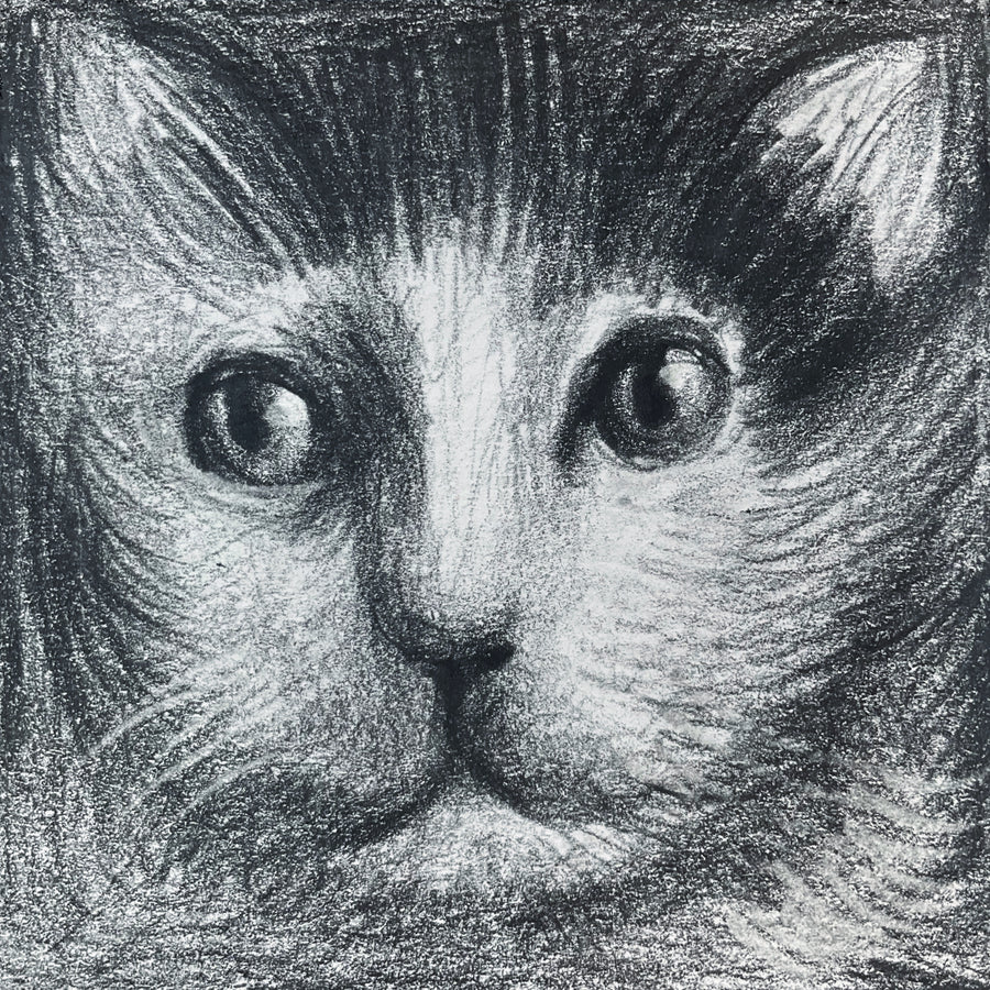 Mini Cat 004