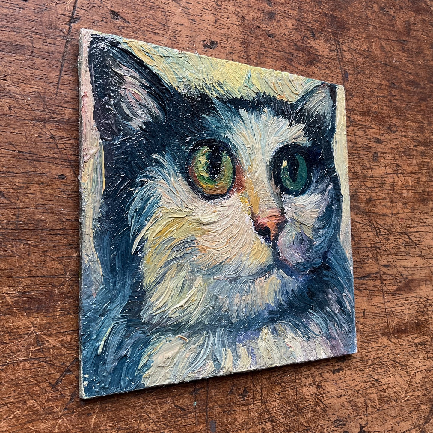 Mini Cat with Big Eyes