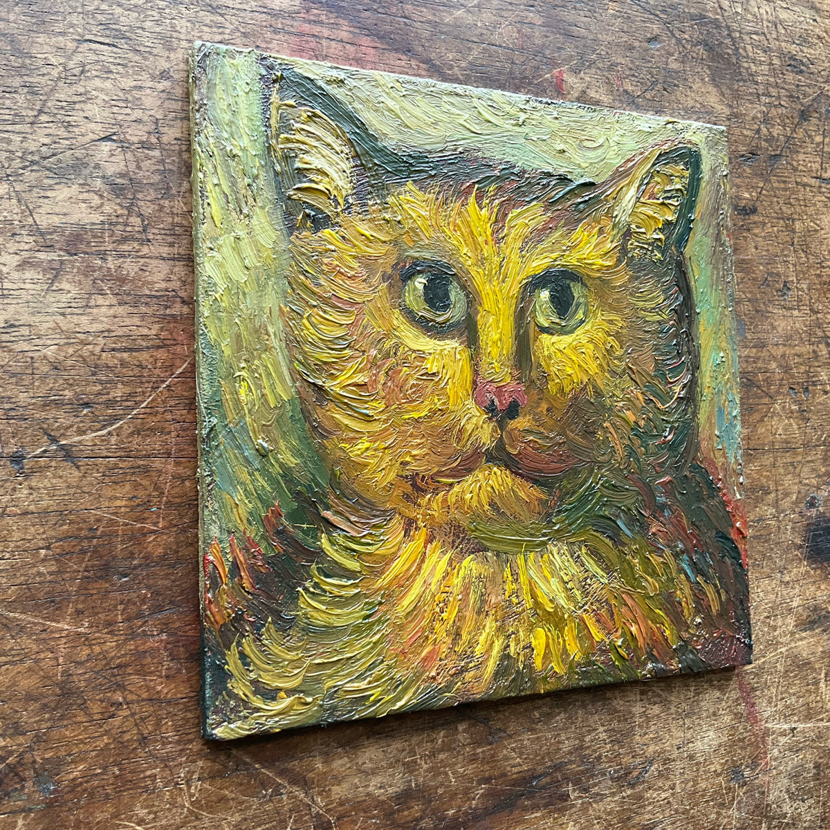 Serious Cat