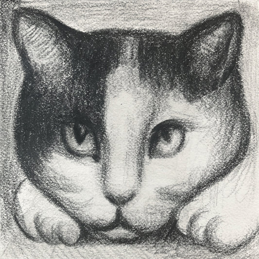 Mini Cat 008